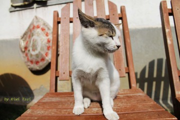 IMG_0580.JPG