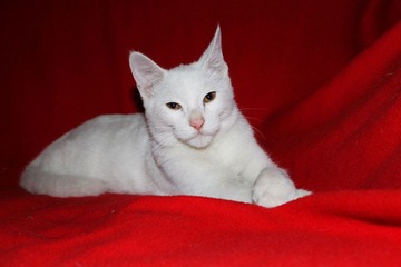IMG_0641.JPG