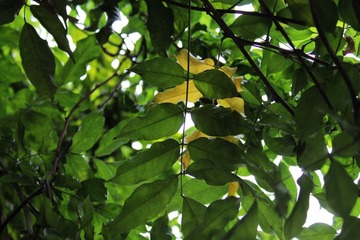 IMG_0680.JPG