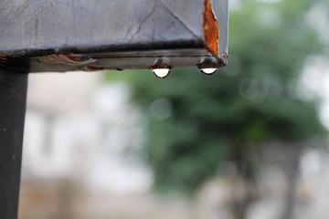 IMG_0689.JPG
