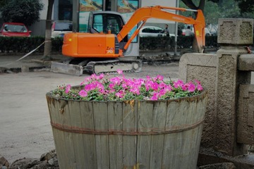 IMG_0695.JPG