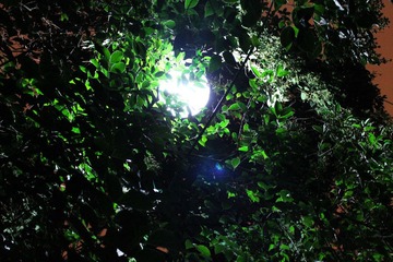 IMG_0762.JPG