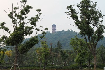 IMG_0779.JPG