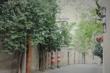 IMG_0799.JPG