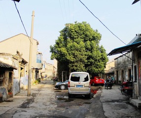 IMG_0924.JPG