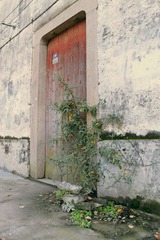 IMG_0946.JPG