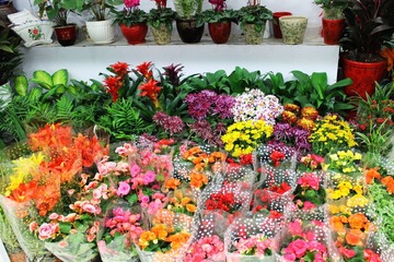 IMG_1077.JPG
