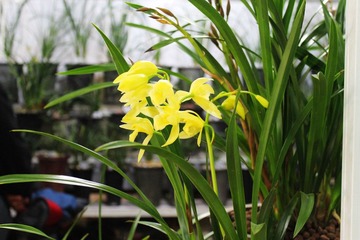 IMG_1078.JPG