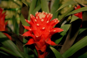 IMG_1084.JPG
