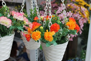 IMG_1086.JPG