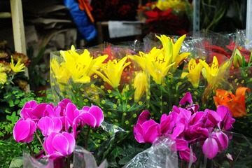 IMG_1089.JPG