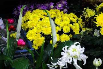 IMG_1090.JPG