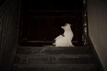 IMG_1289.JPG