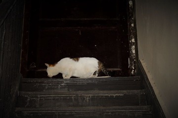 IMG_1291.JPG