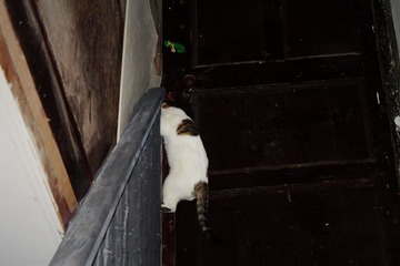 IMG_1293.JPG