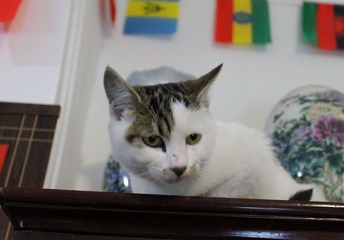IMG_1324.JPG