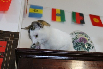 IMG_1326.JPG