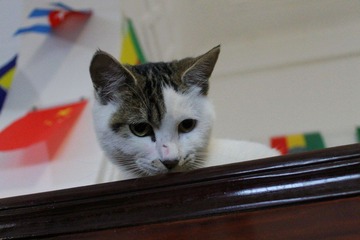 IMG_1329.JPG