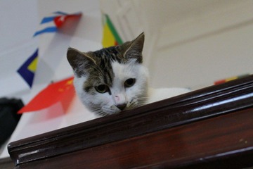 IMG_1330.JPG