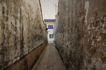 IMG_1440.JPG