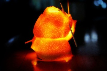 IMG_1480.JPG