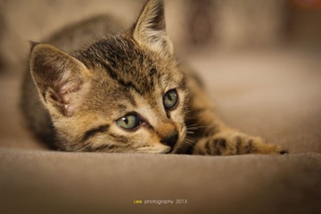 IMG_7280.jpg
