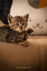 IMG_7245.jpg
