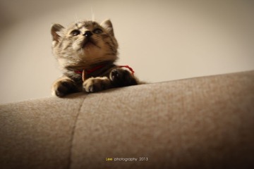 IMG_7272.jpg