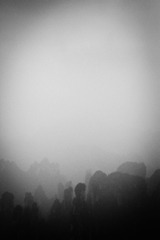 IMG_7534.jpg