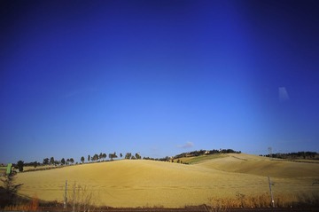 _DSC9611