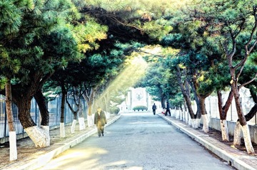 DSC_3098 副本.jpg