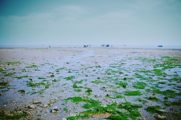DSC_7942 副本.JPG
