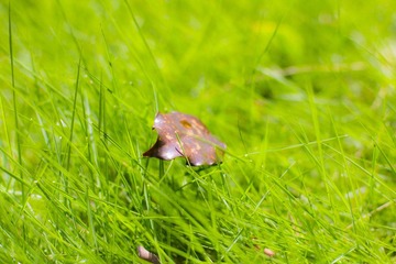 IMG_0211.jpg