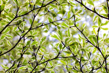 IMG_0227.jpg