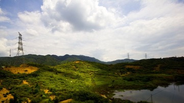 IMG_9295.jpg