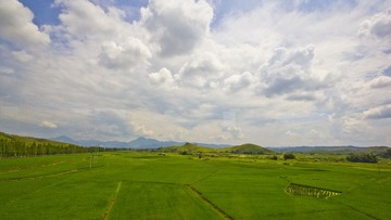 IMG_9301.jpg