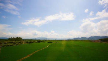 IMG_9354.jpg