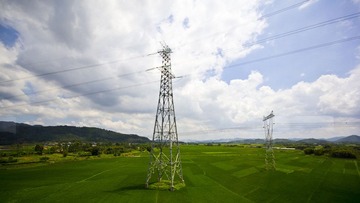 IMG_9415.jpg