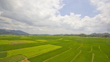 IMG_9418.jpg