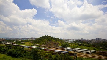 IMG_9433.jpg