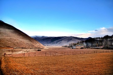 DSC_9698.jpg