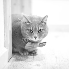 DSC_7377.jpg