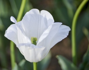 _DSC8957g
