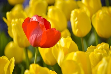 _DSC8976g