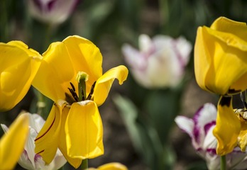 _DSC9040g
