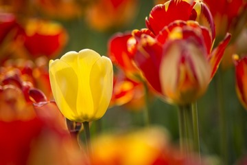 _DSC9047g