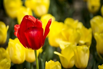 _DSC9057g