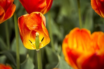 _DSC9058g