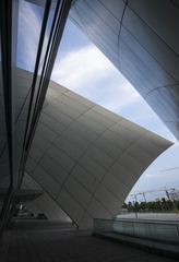 _DSC0194g