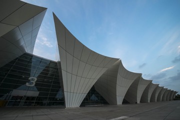 _DSC0203g